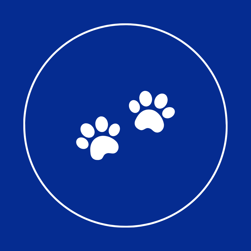 Pets